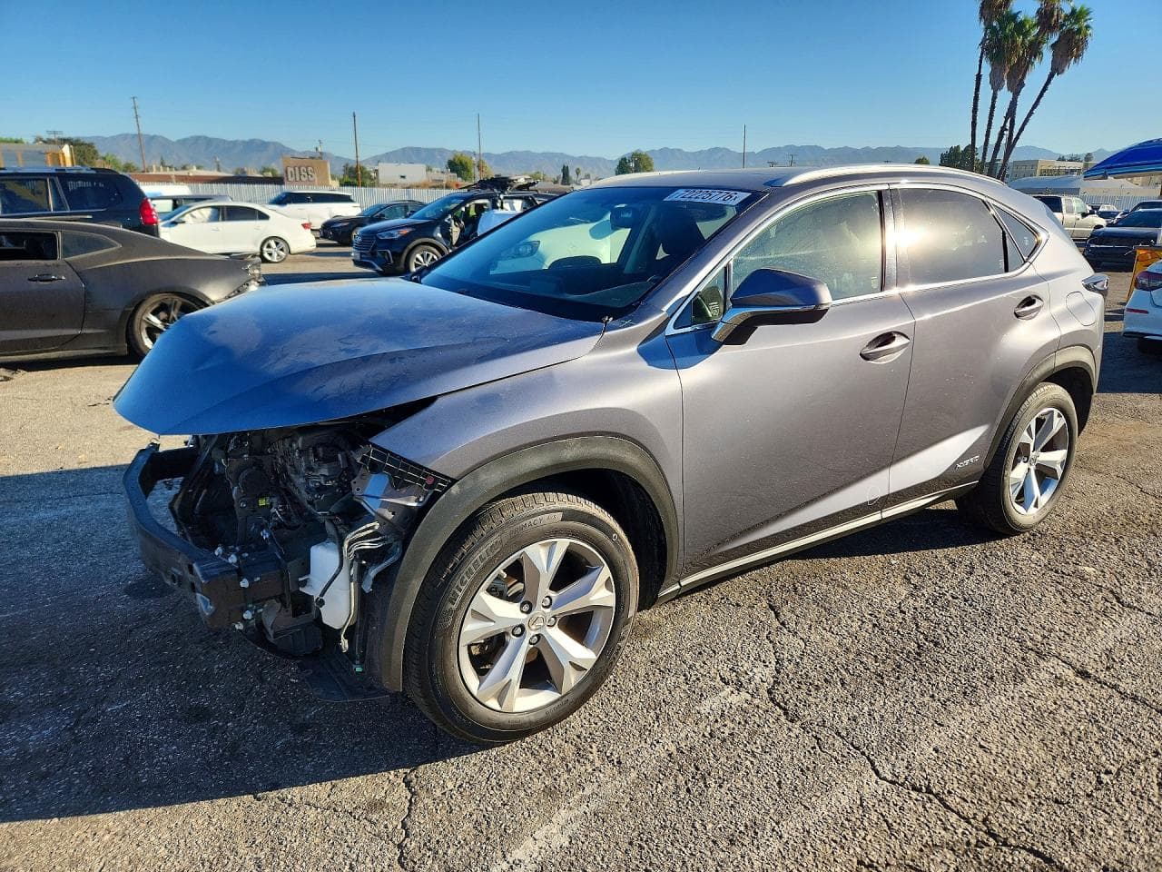 Lexus NX 2017 z USA