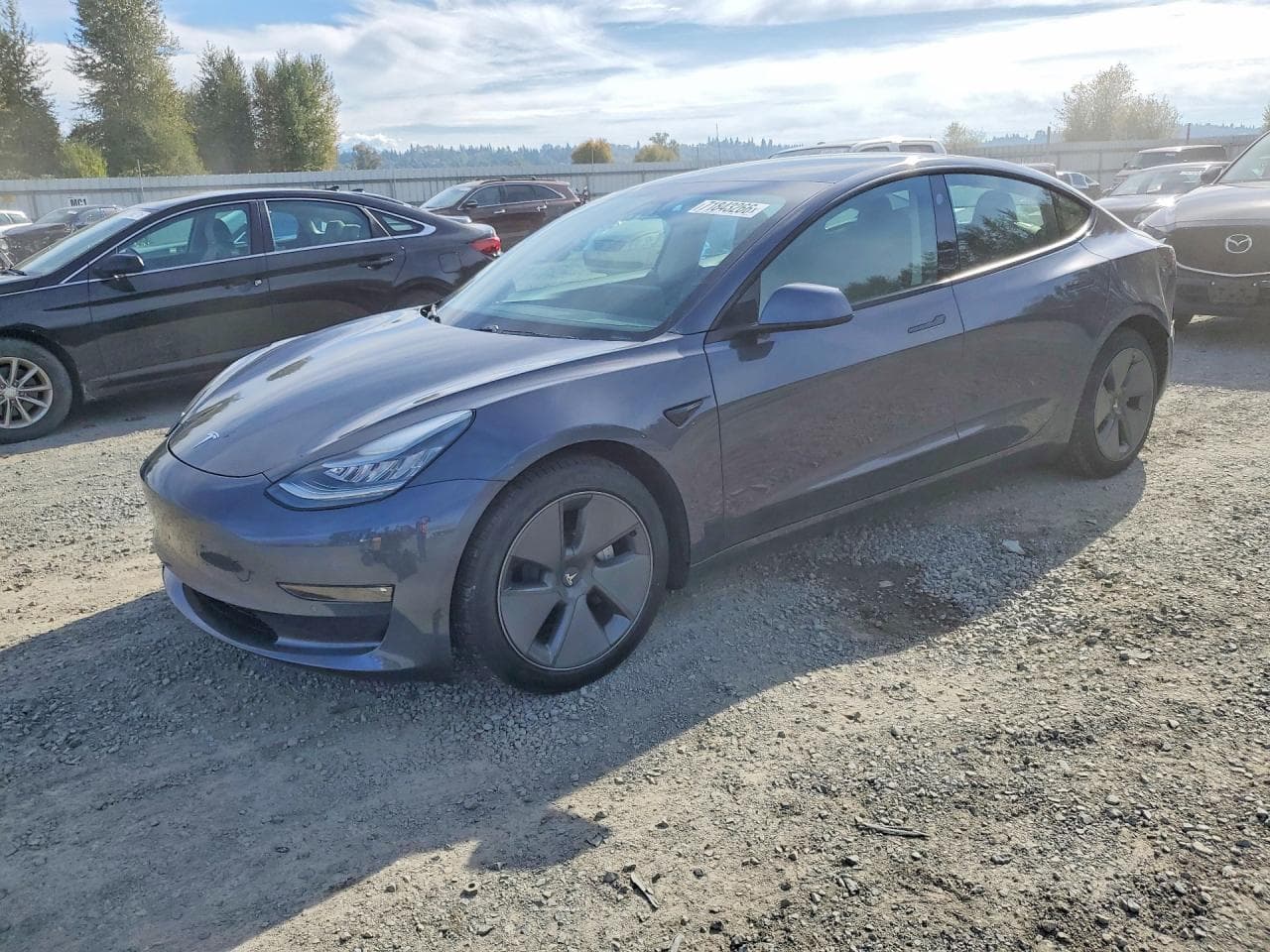 Tesla Model 3 2021 z USA