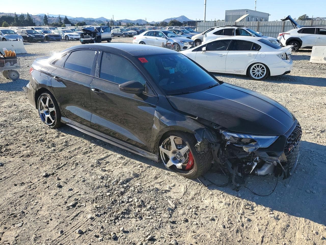 2024 Audi Rs3 - foto 4