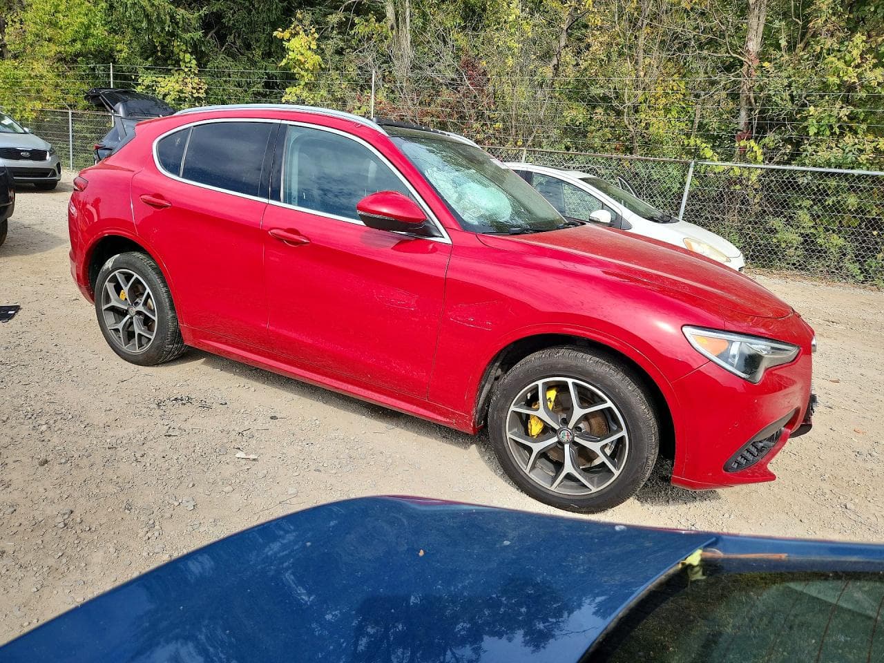 2021 Alfa Romeo Stelvio Ti - foto 4