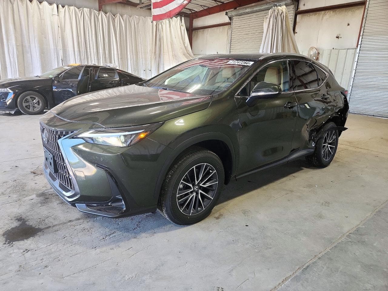 Lexus NX 2026 z USA