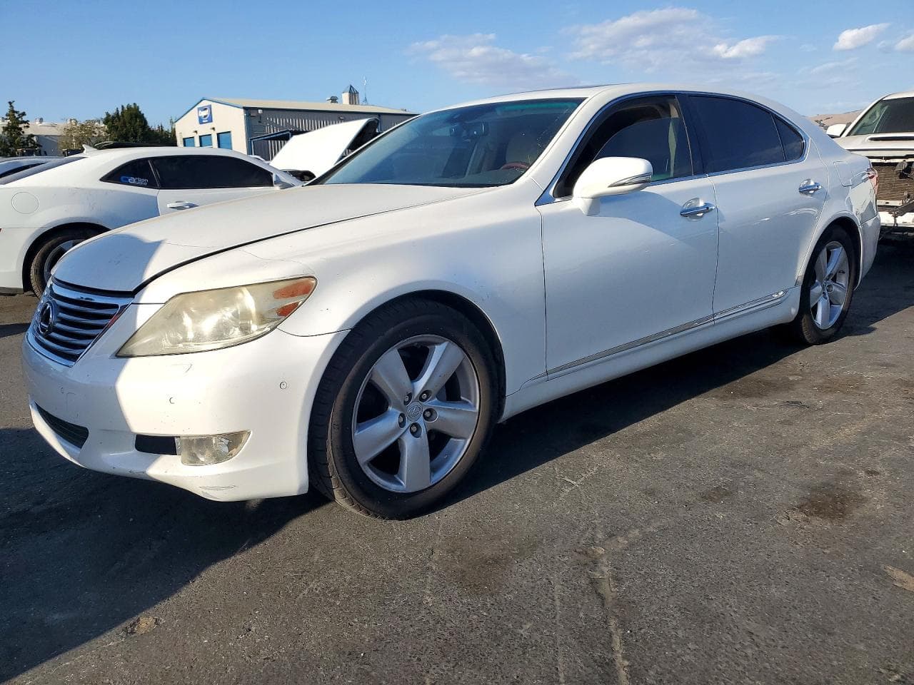 Lexus LS 2011 z USA