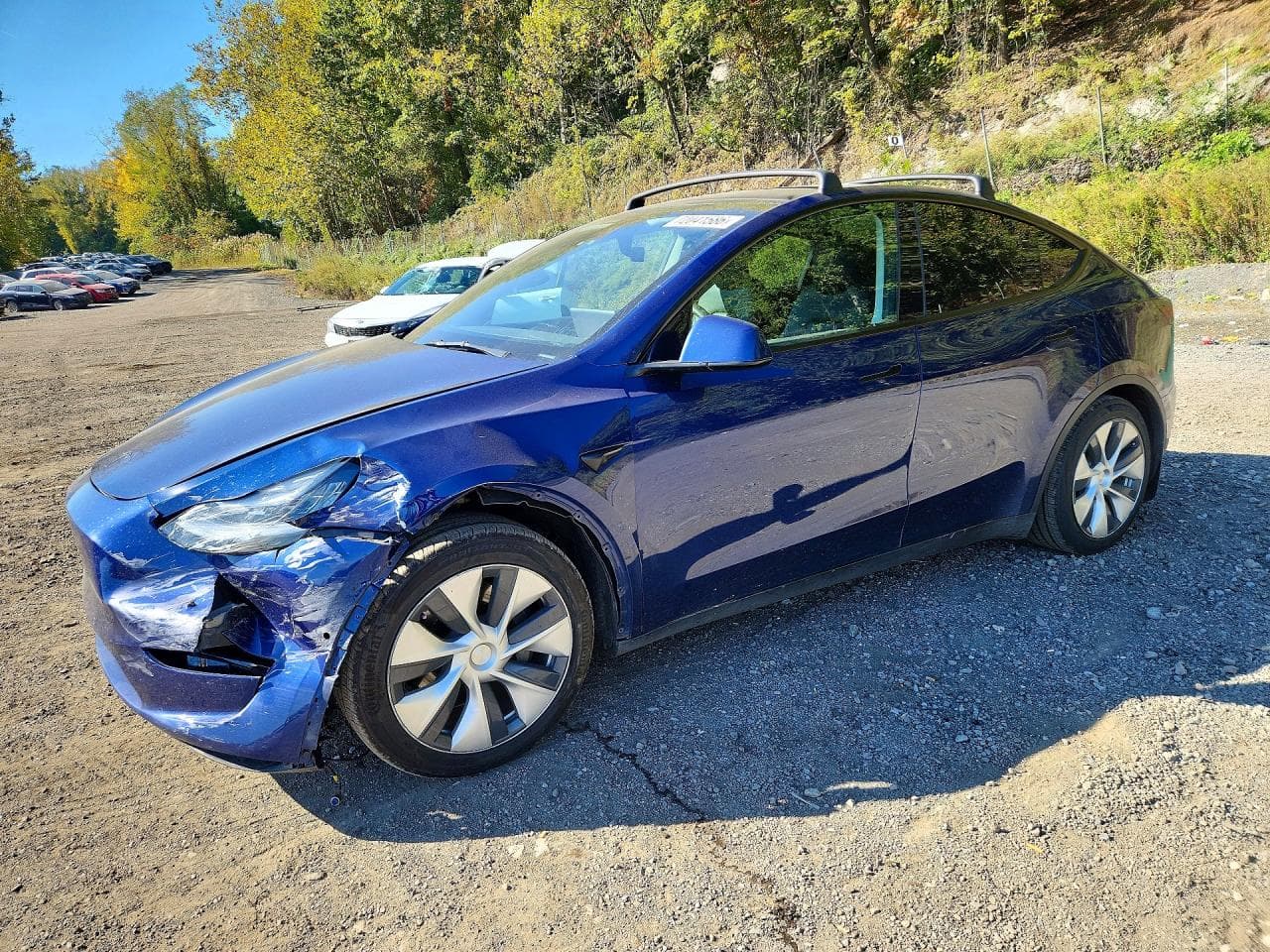 Tesla Model Y 2021 z USA