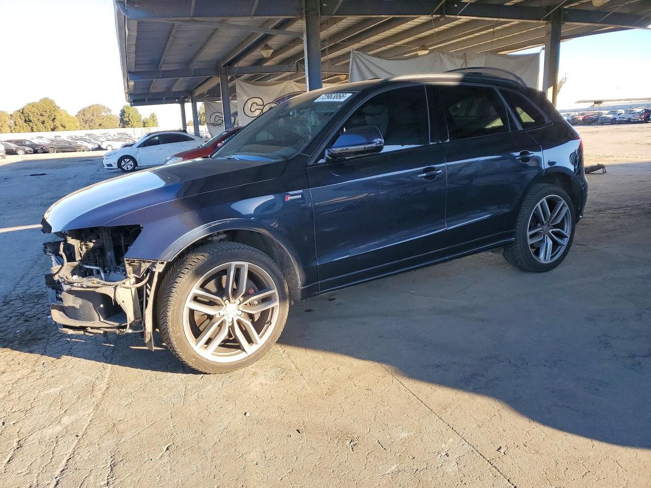Audi SQ5 2016 z USA