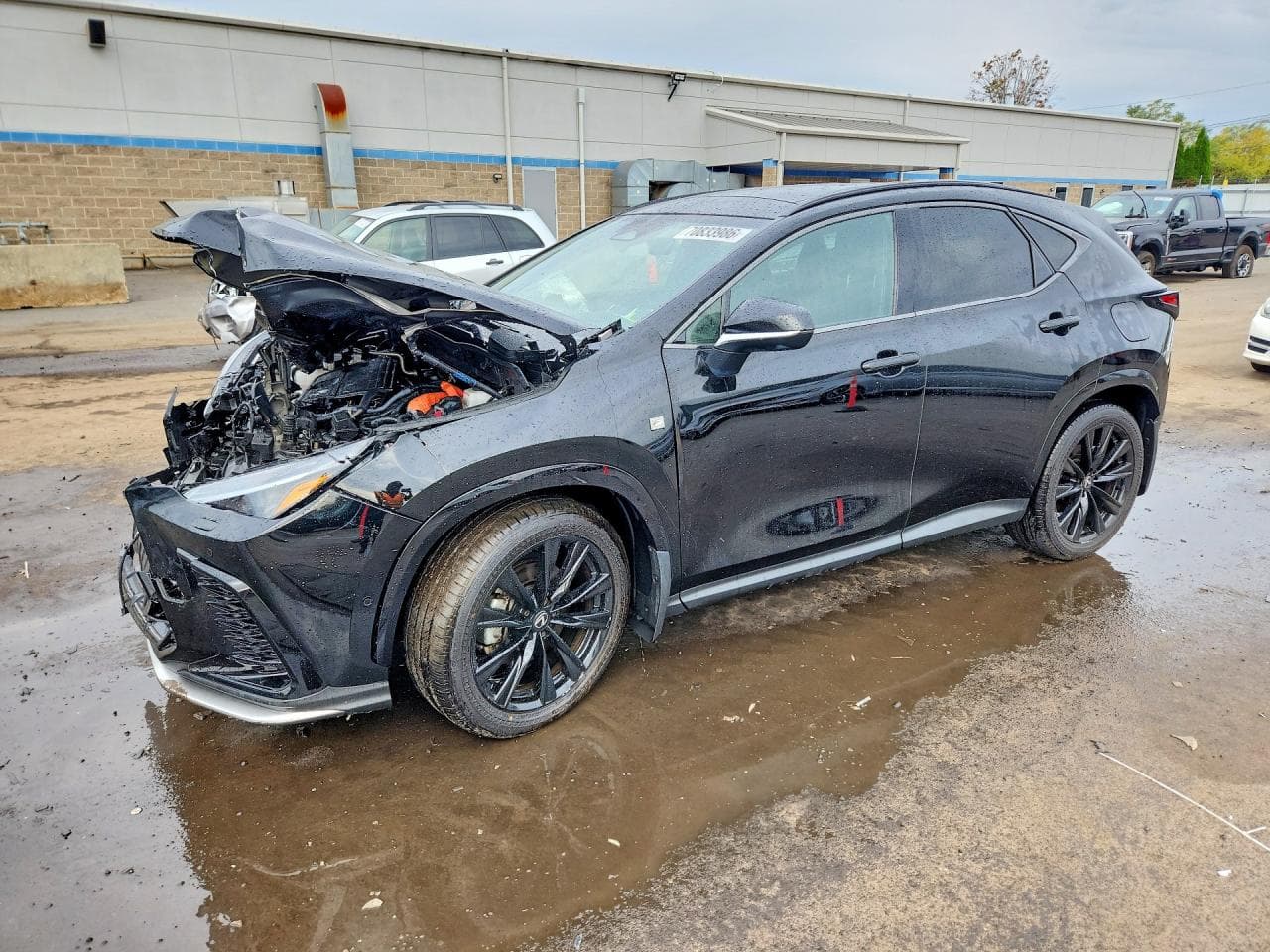 Lexus NX 2025 z USA