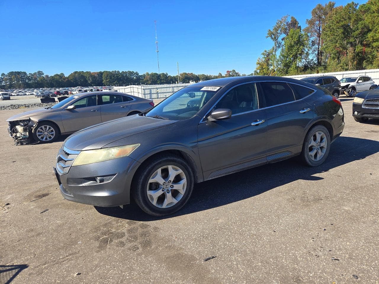 Honda Crosstour 2010 z USA