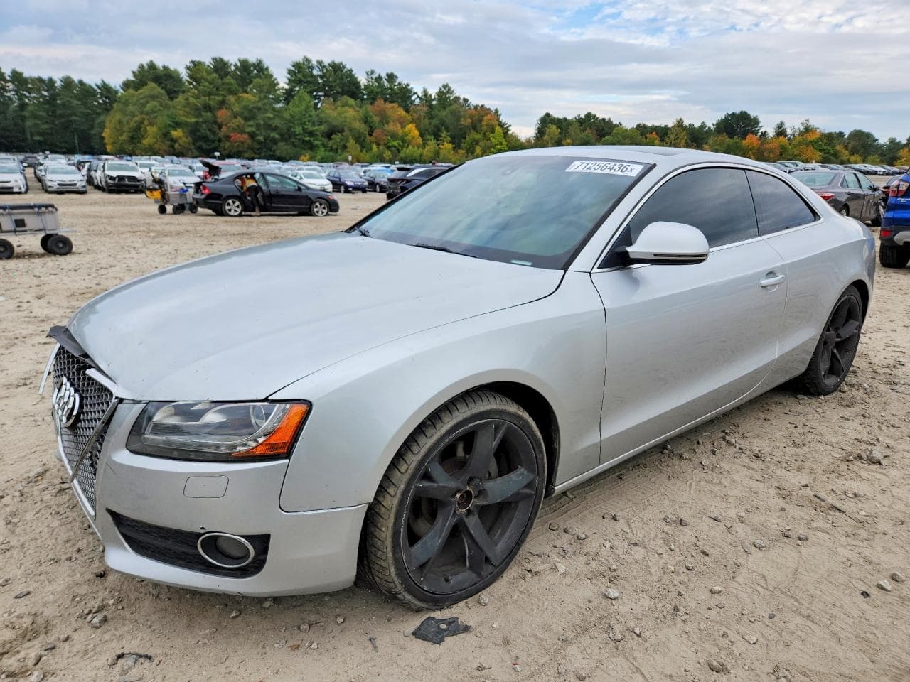 Audi A5 2009 z USA
