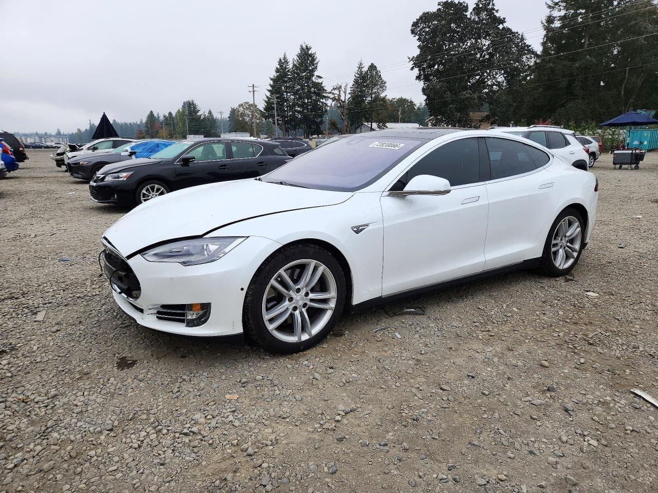 Tesla Model S 2015 z USA