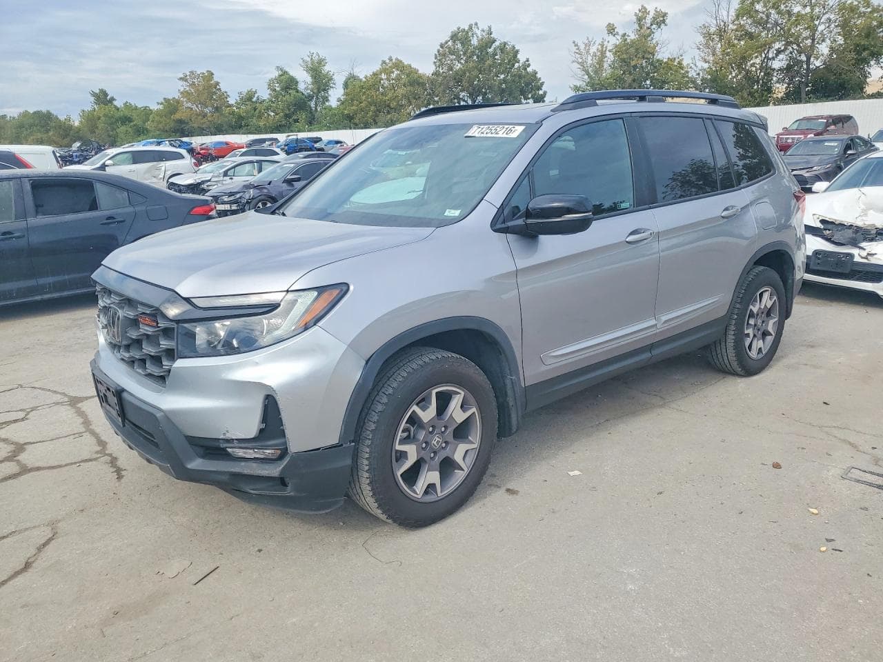 Honda Passport 2022 z USA
