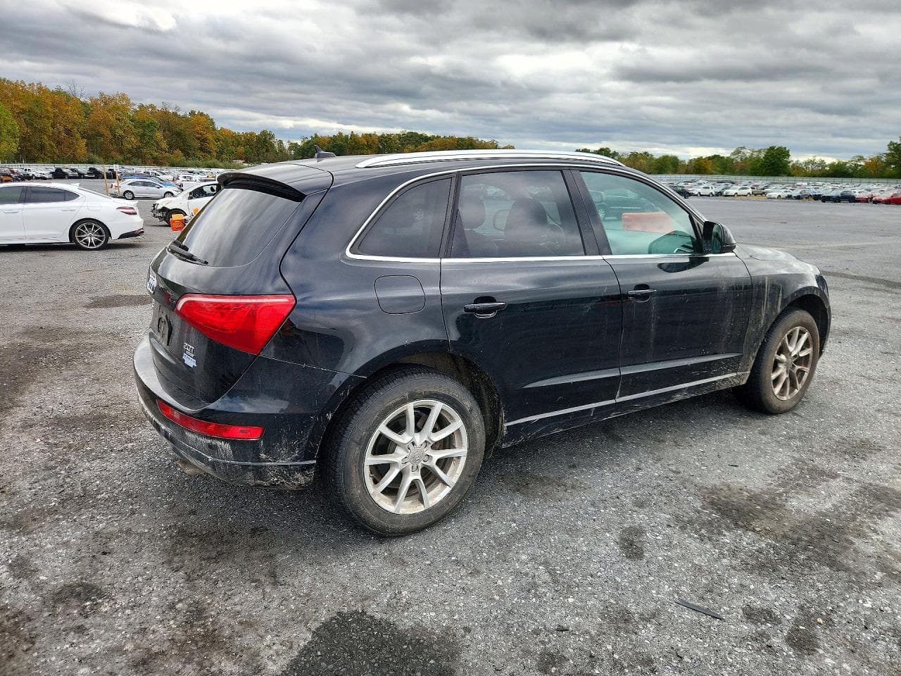 2011 Audi Q5 Premium Plus - foto 3