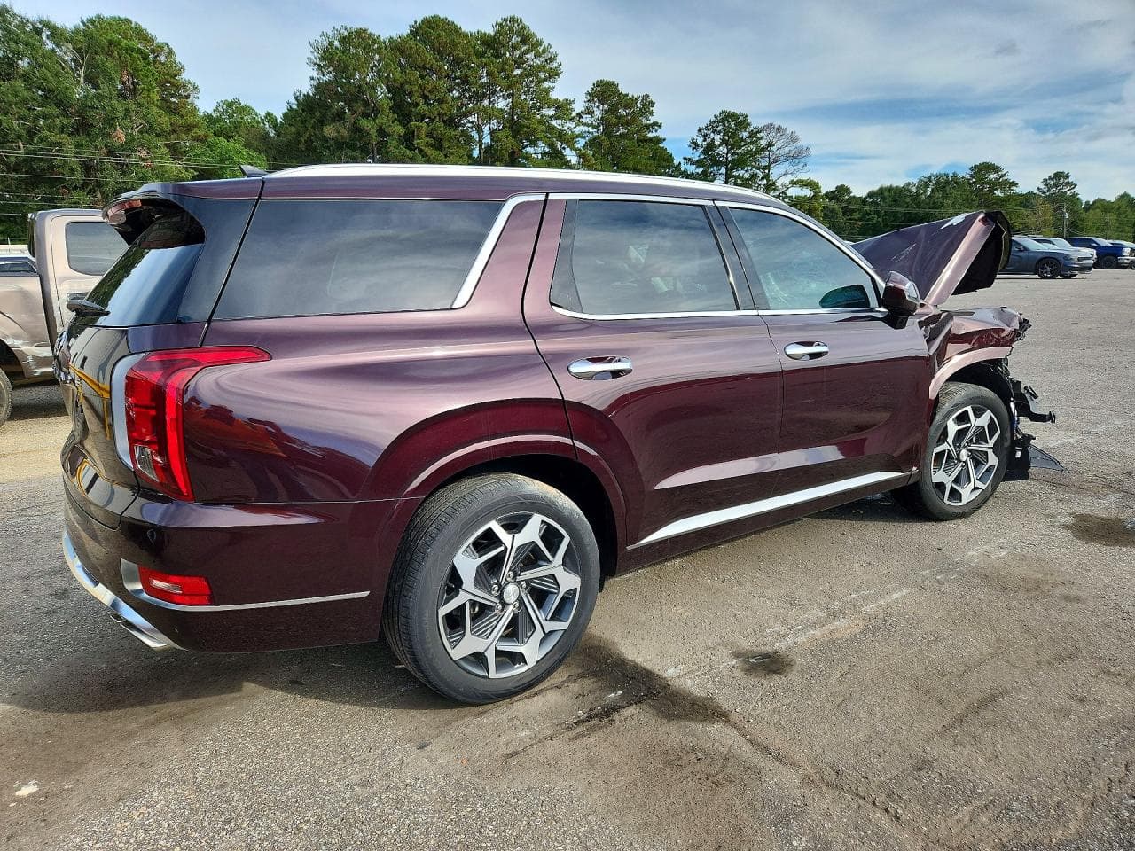 2022 Hyundai Palisade Calligraphy - foto 3
