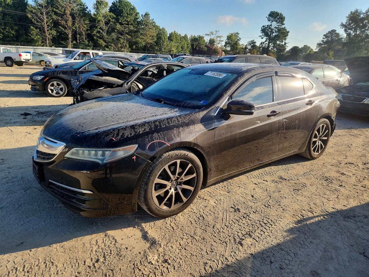 Acura TLX 2015 z USA