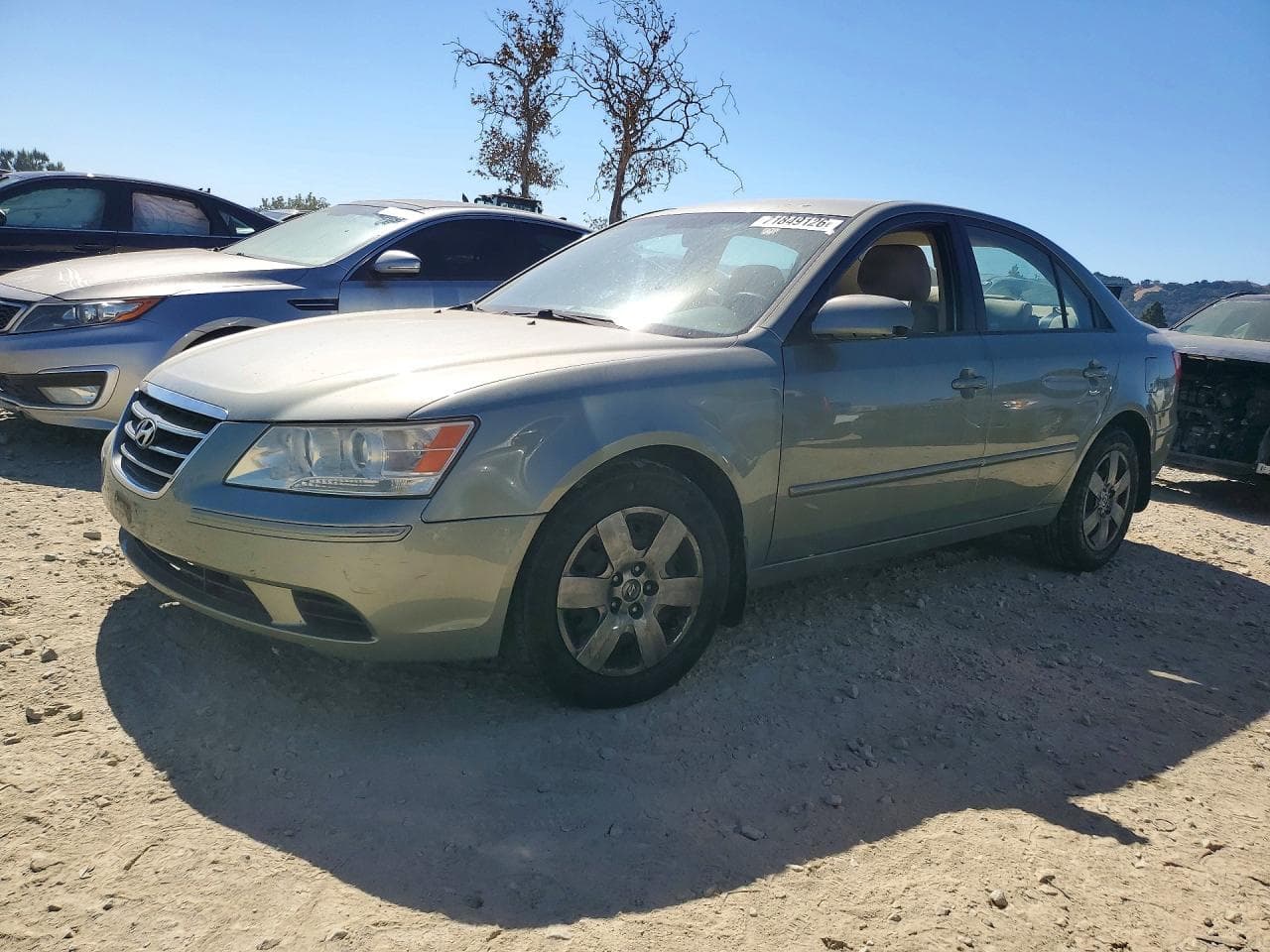 Hyundai Sonata 2010 z USA