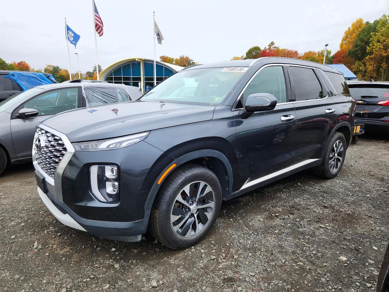 Hyundai Palisade 2020 z USA