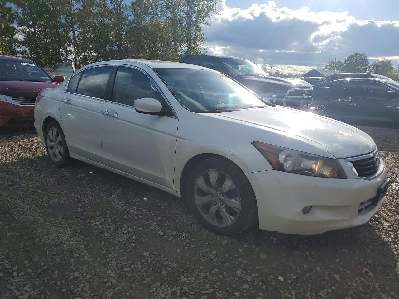 2008 Honda Accord Exl - foto 4
