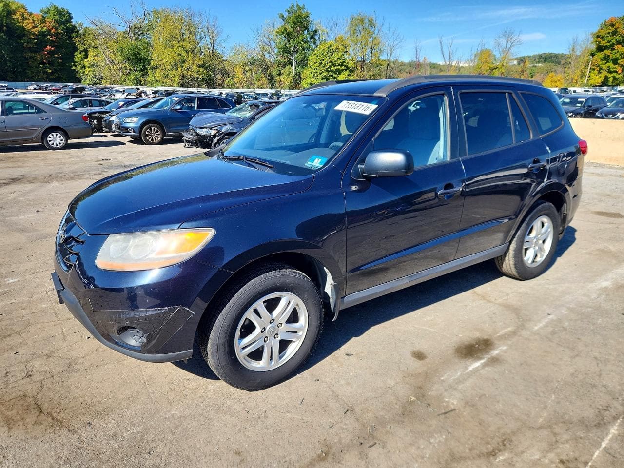 Hyundai Santa Fe 2010 z USA