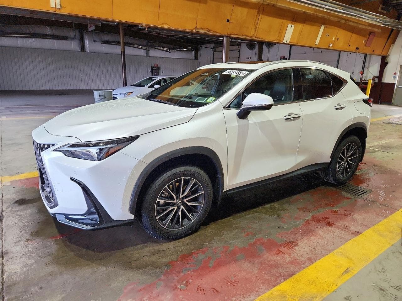 Lexus NX 2024 z USA