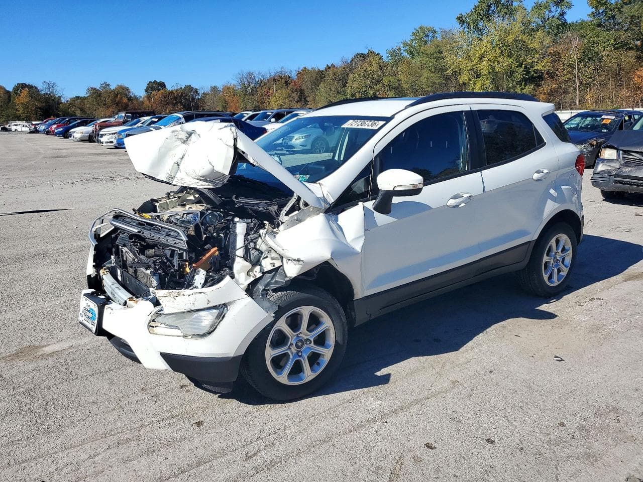 Ford EcoSport 2019 z USA