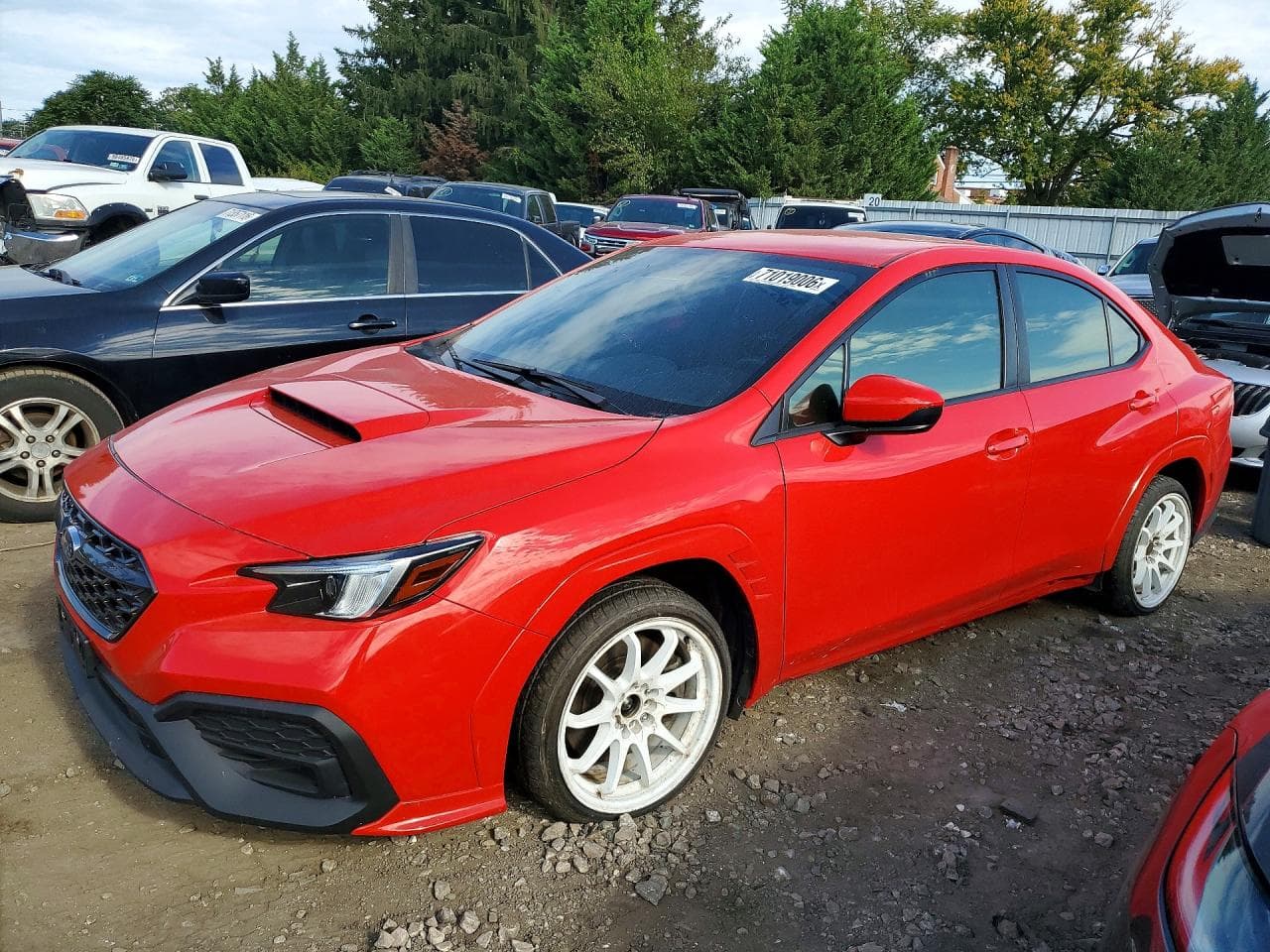 Subaru WRX 2023 z USA