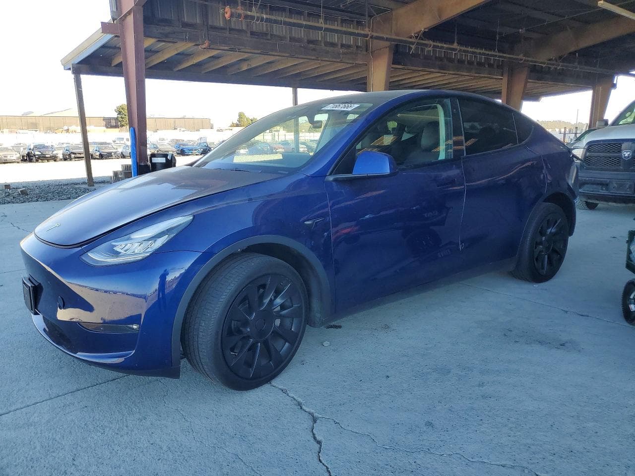 Tesla Model Y 2023 z USA