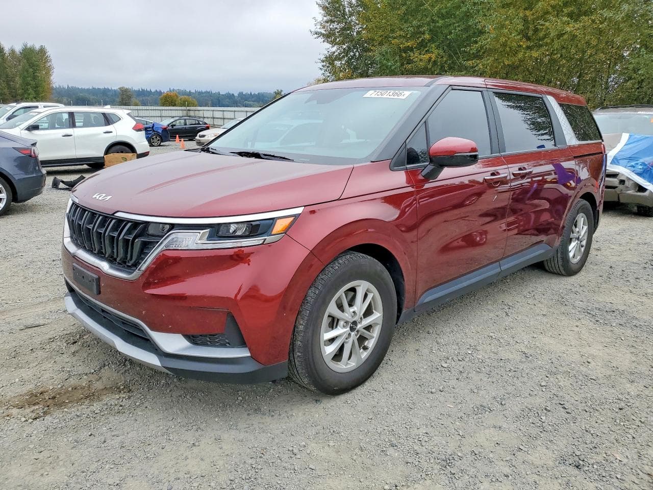 Kia Carnival 2024 z USA