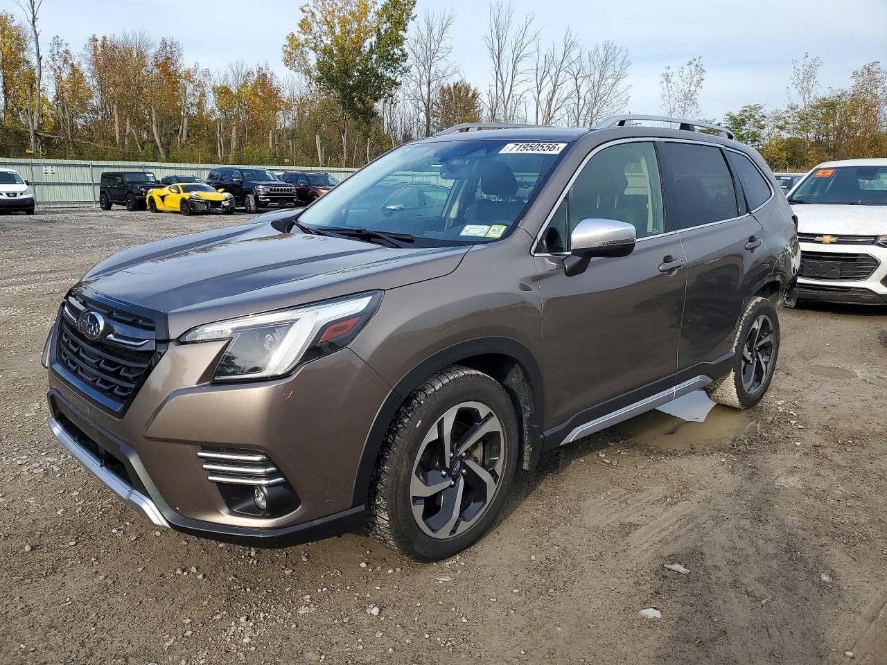 Subaru Forester 2024 z USA