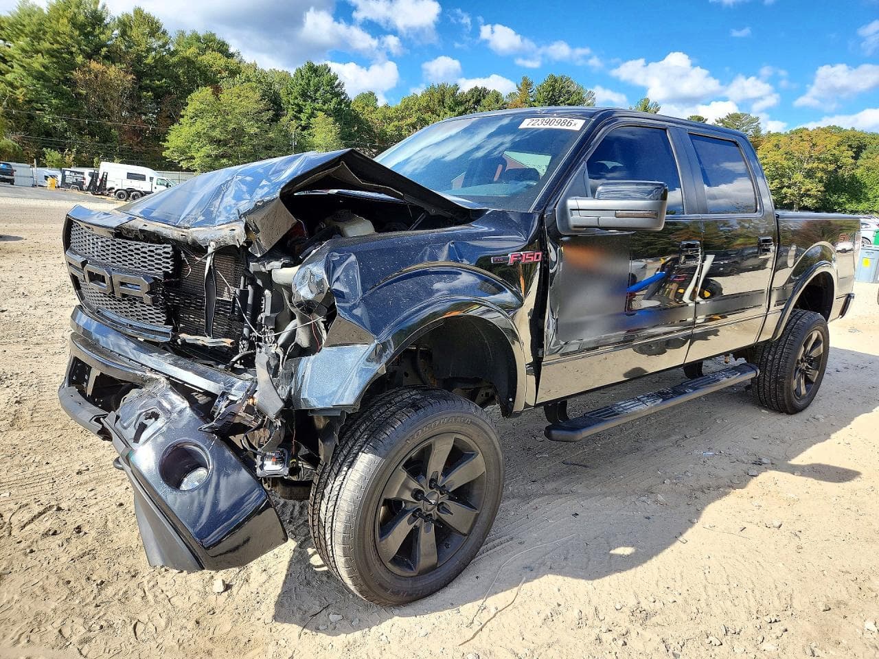 Ford F-150 2013 z USA
