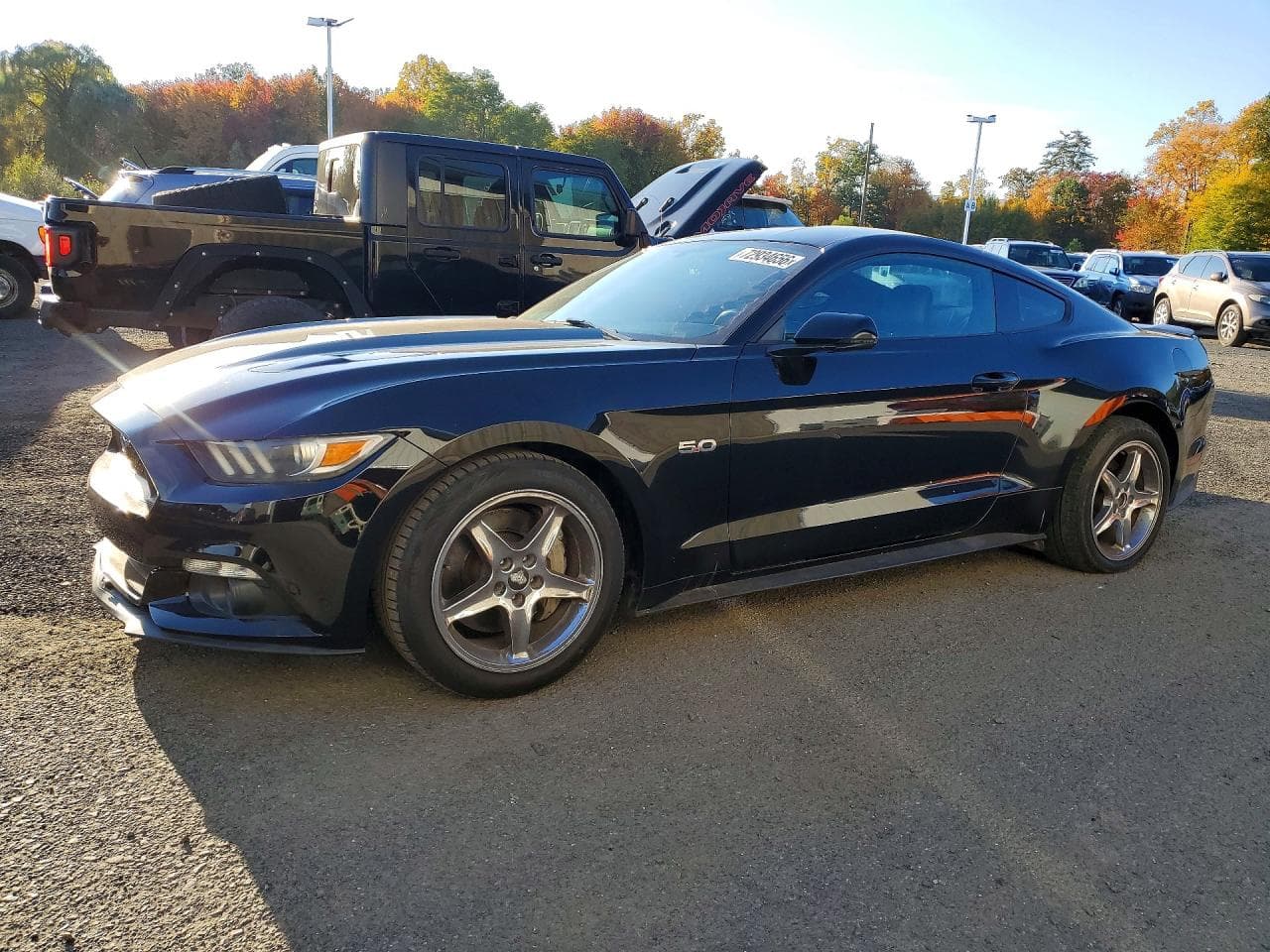 Ford Mustang 2015 z USA