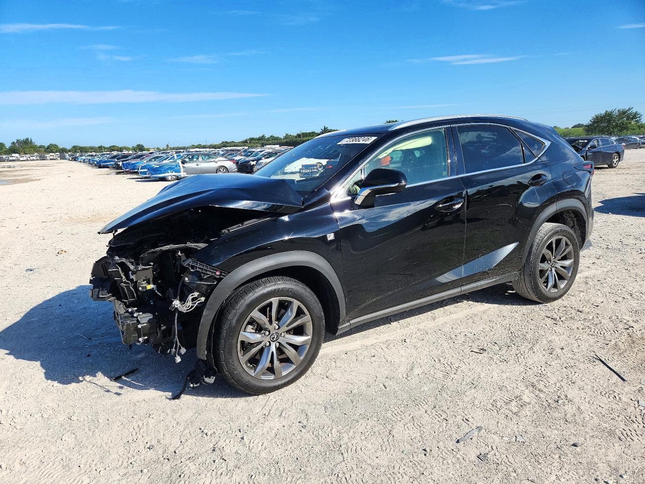 Lexus NX 2021 z USA