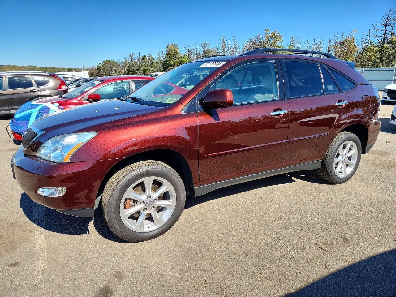 Lexus RX 2009 z USA