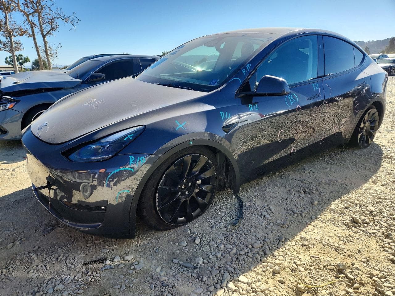Tesla Model Y 2023 z USA
