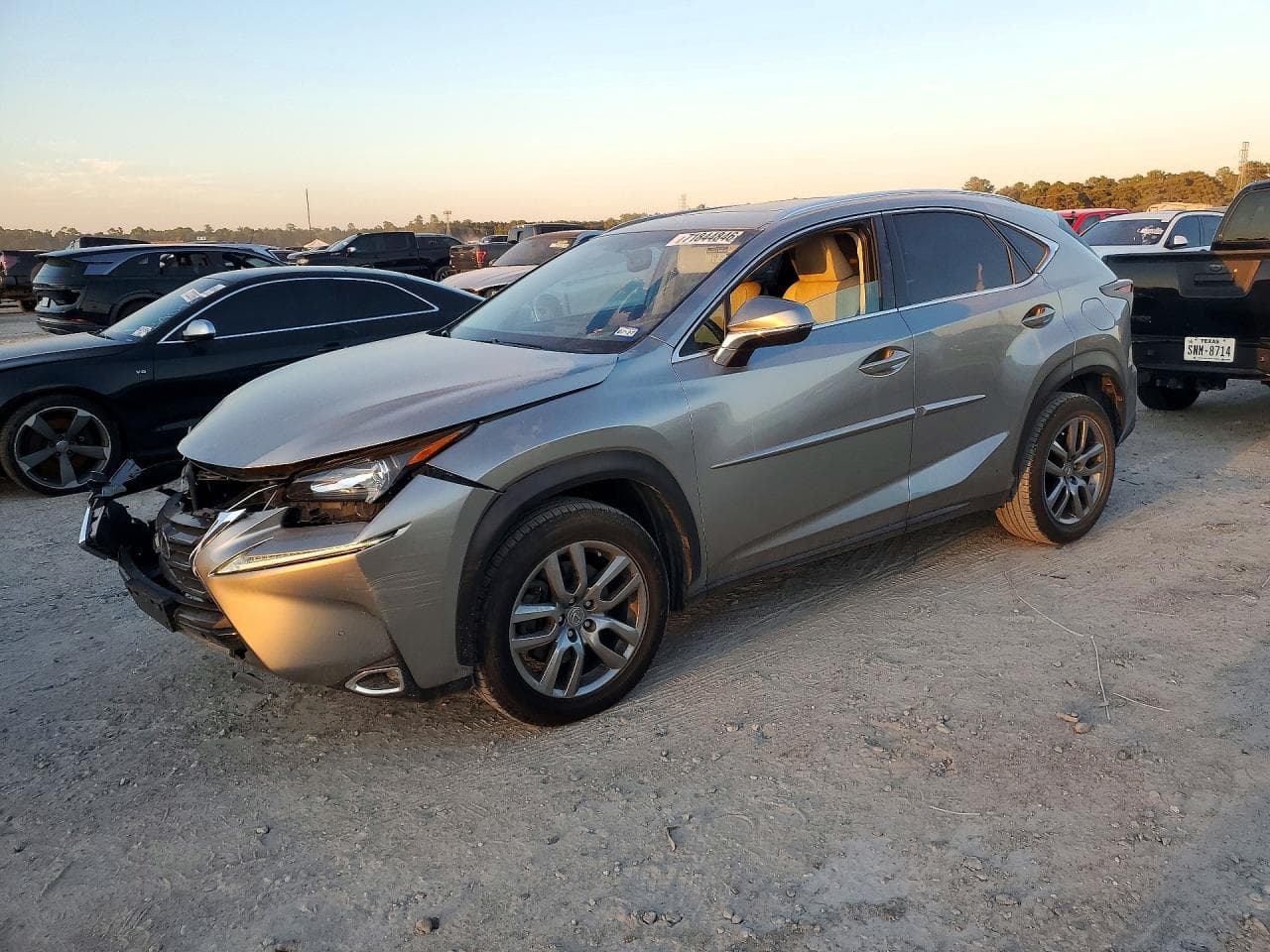 Lexus NX 2015 z USA