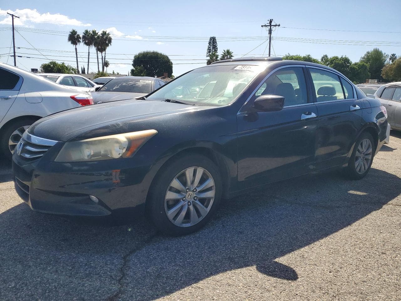 Honda Accord 2011 z USA