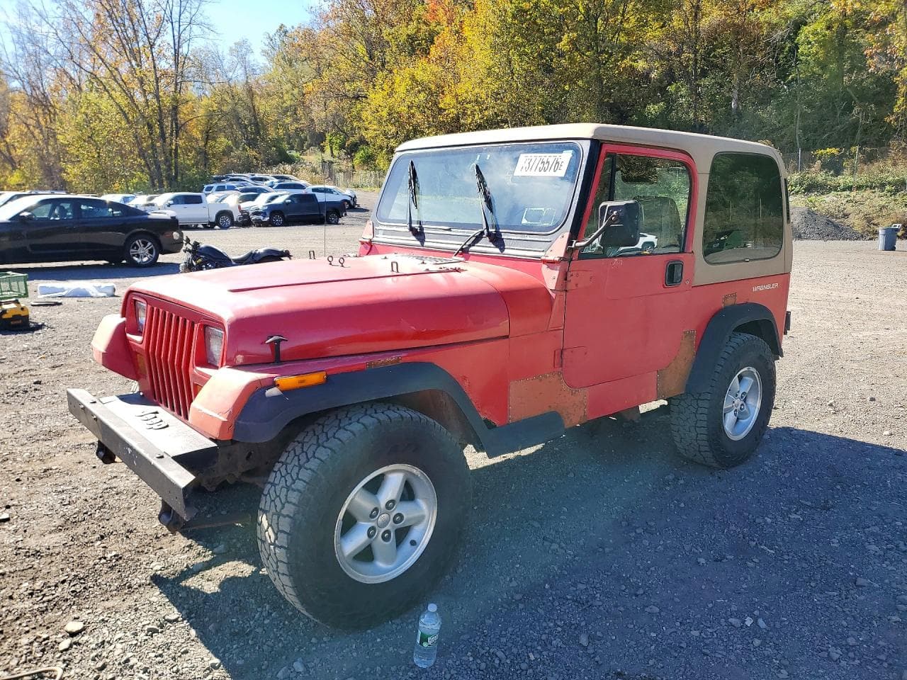 Jeep Wrangler 1991 z USA