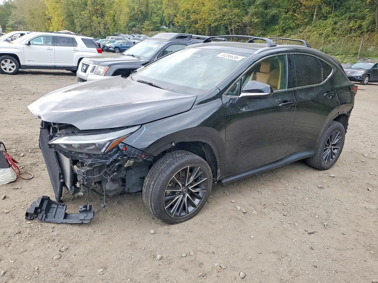 Lexus NX 2022 z USA