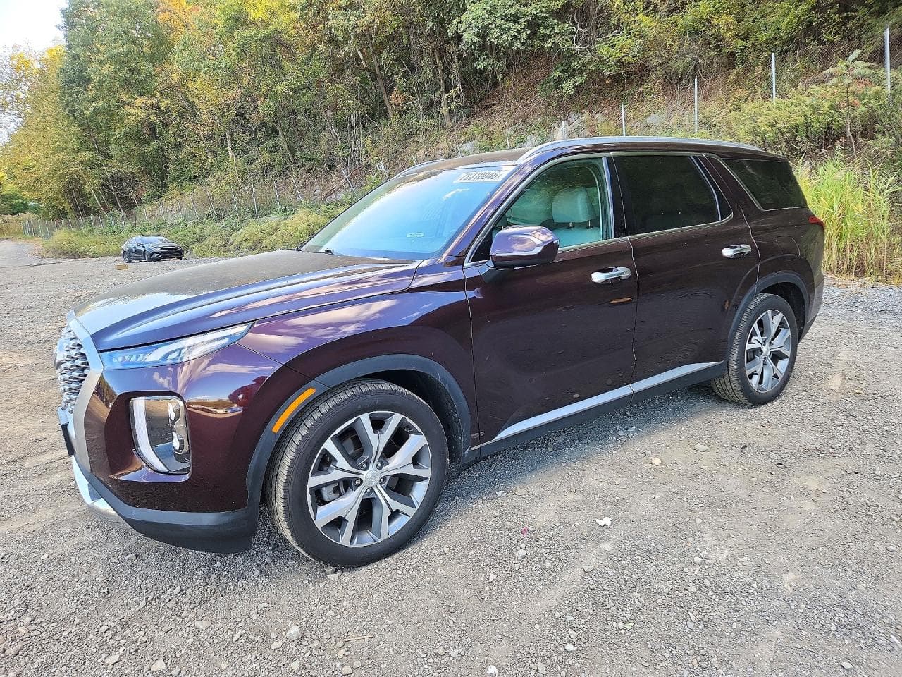 Hyundai Palisade 2021 z USA