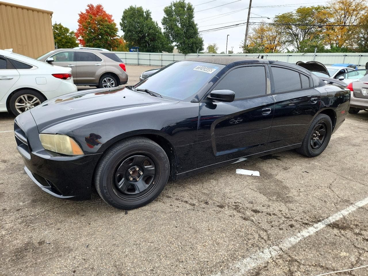 Dodge Charger 2012 z USA