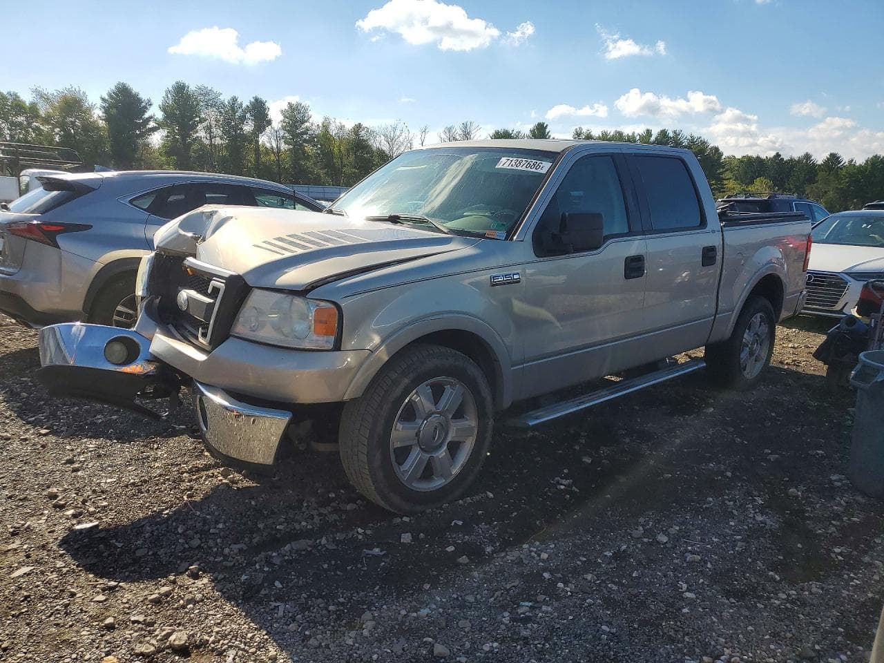 Ford F-150 2006 z USA
