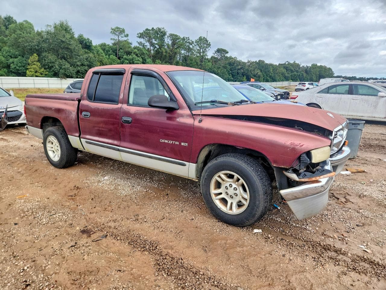 2001 Dodge Dakota Quad - foto 4