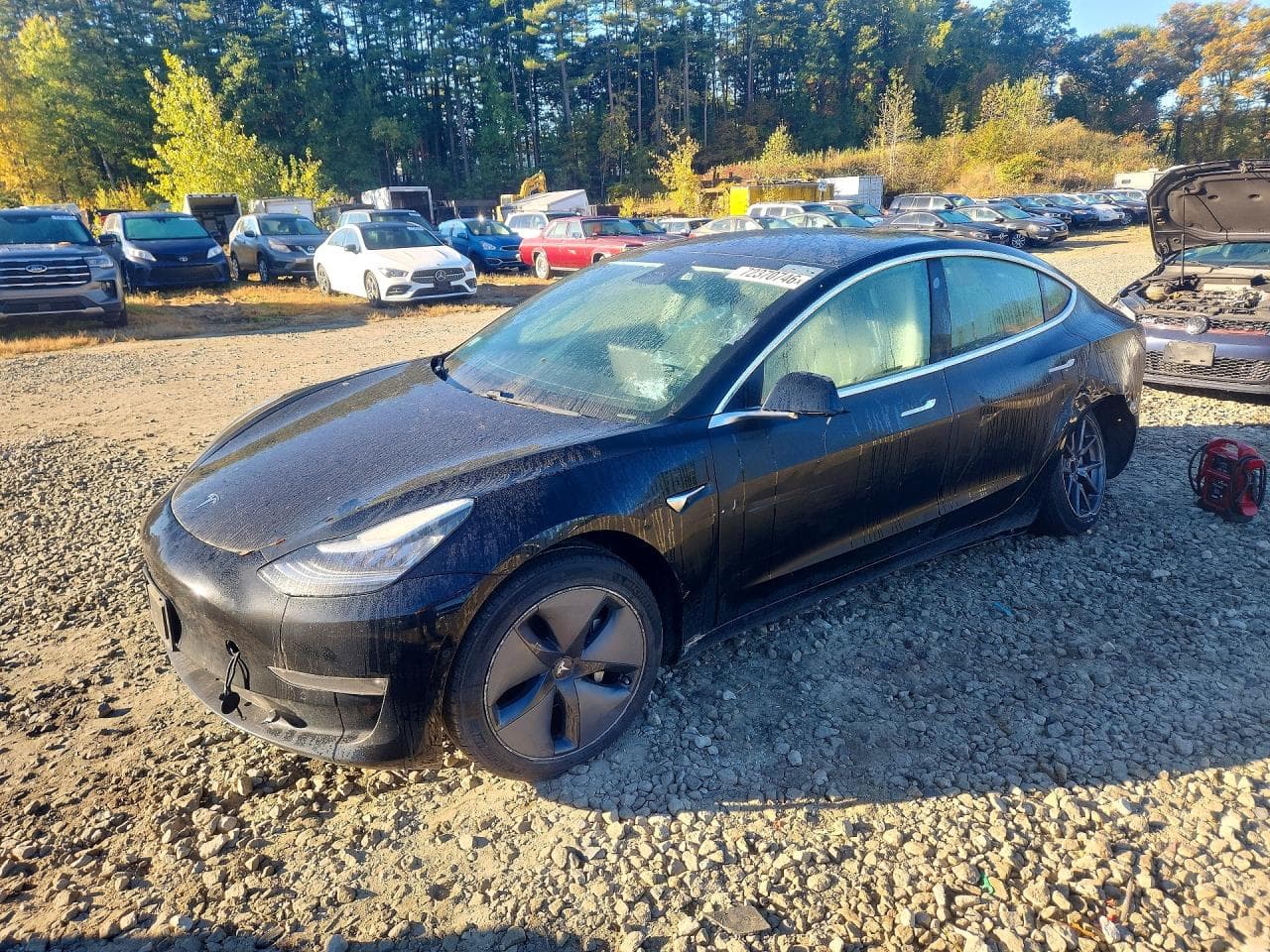 Tesla Model 3 2019 z USA