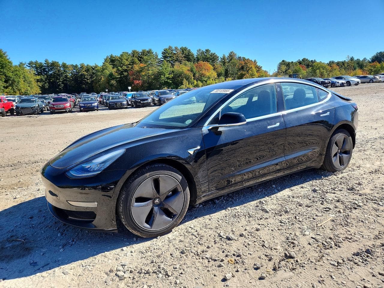 Tesla Model 3 2018 z USA