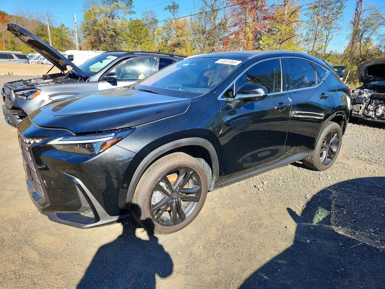 Lexus NX 2026 z USA