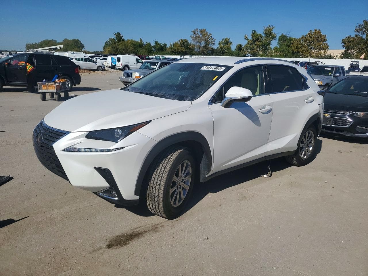 Lexus NX 2021 z USA