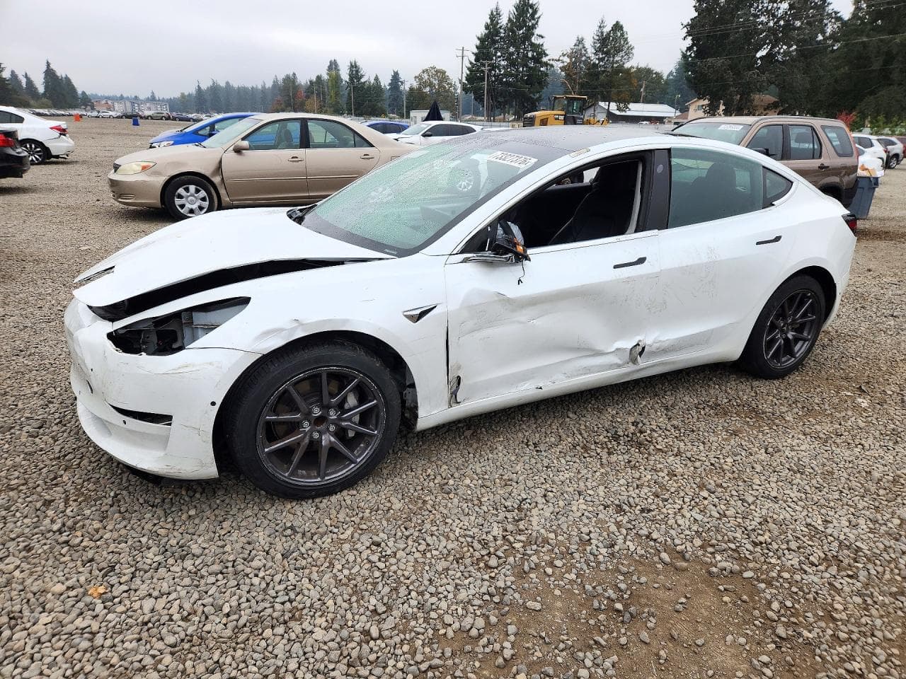 Tesla Model 3 2020 z USA