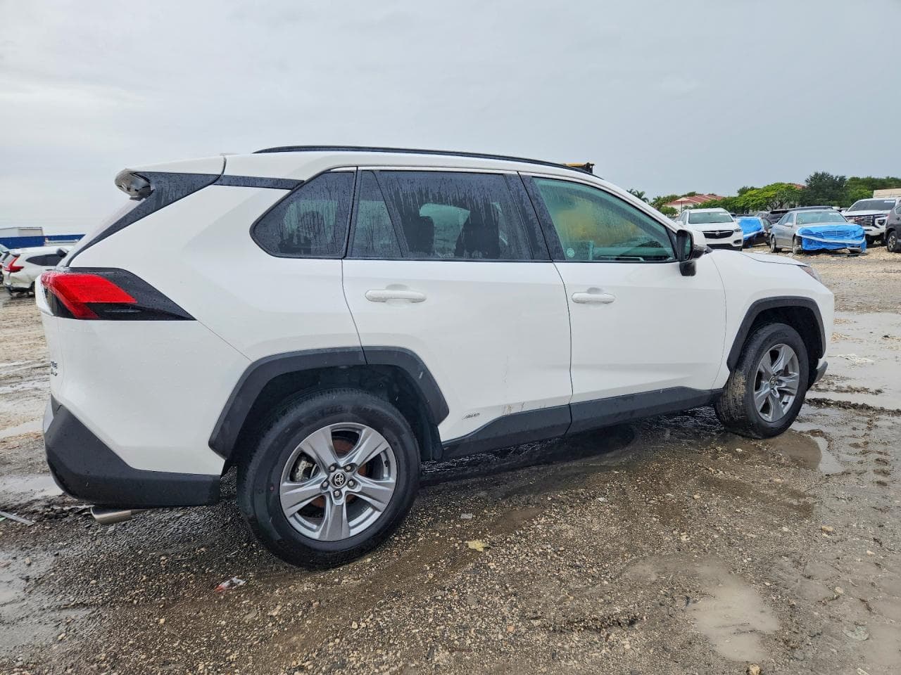 2025 Toyota Rav4 Hybrid Xle - foto 3