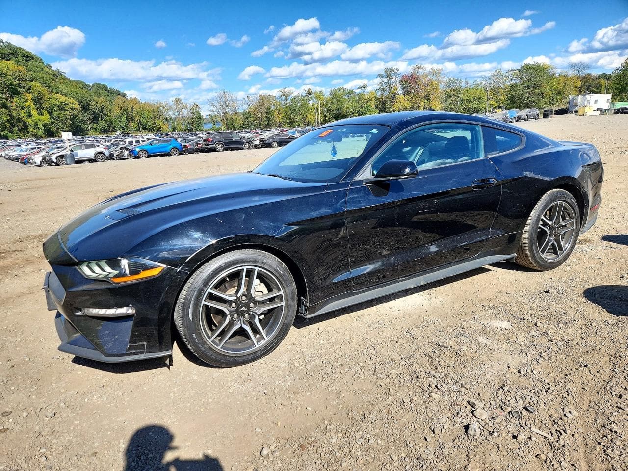 Ford Mustang 2021 z USA