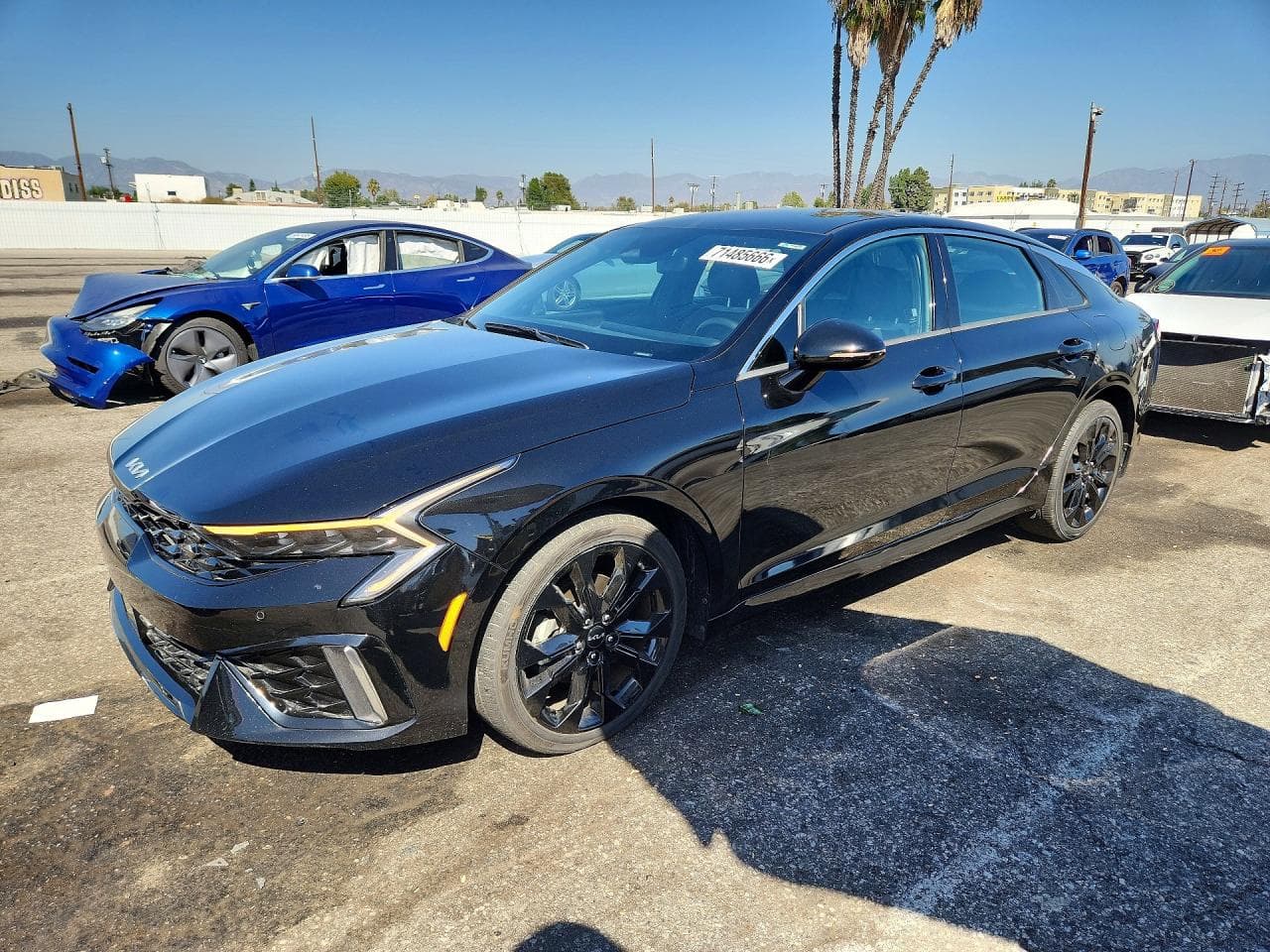 Kia K5 2025 z USA
