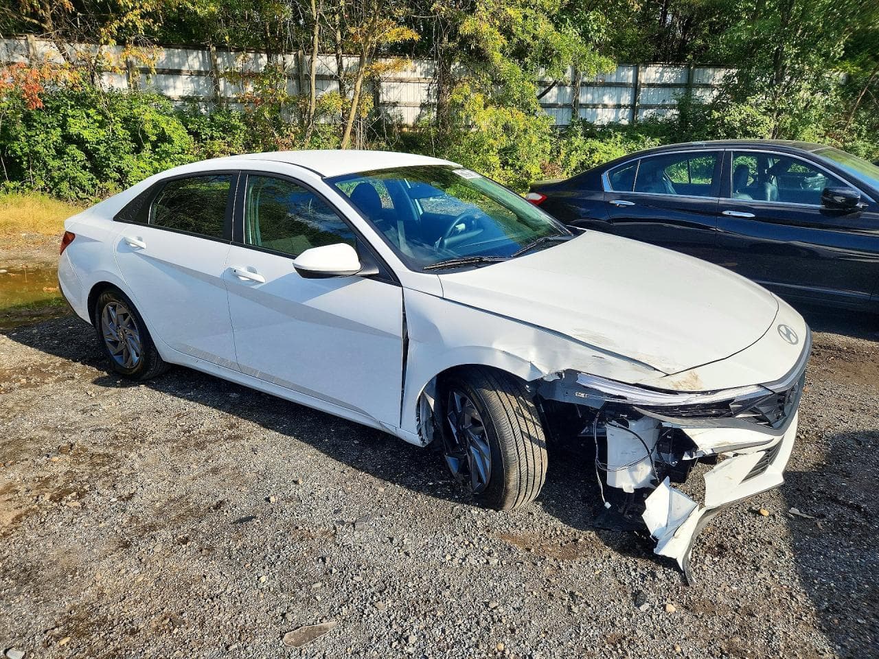 2026 Hyundai Elantra Hybrid Blue - foto 4