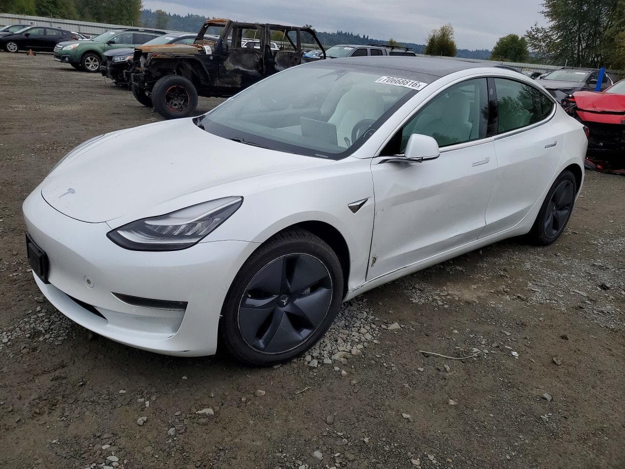 Tesla Model 3 2020 z USA