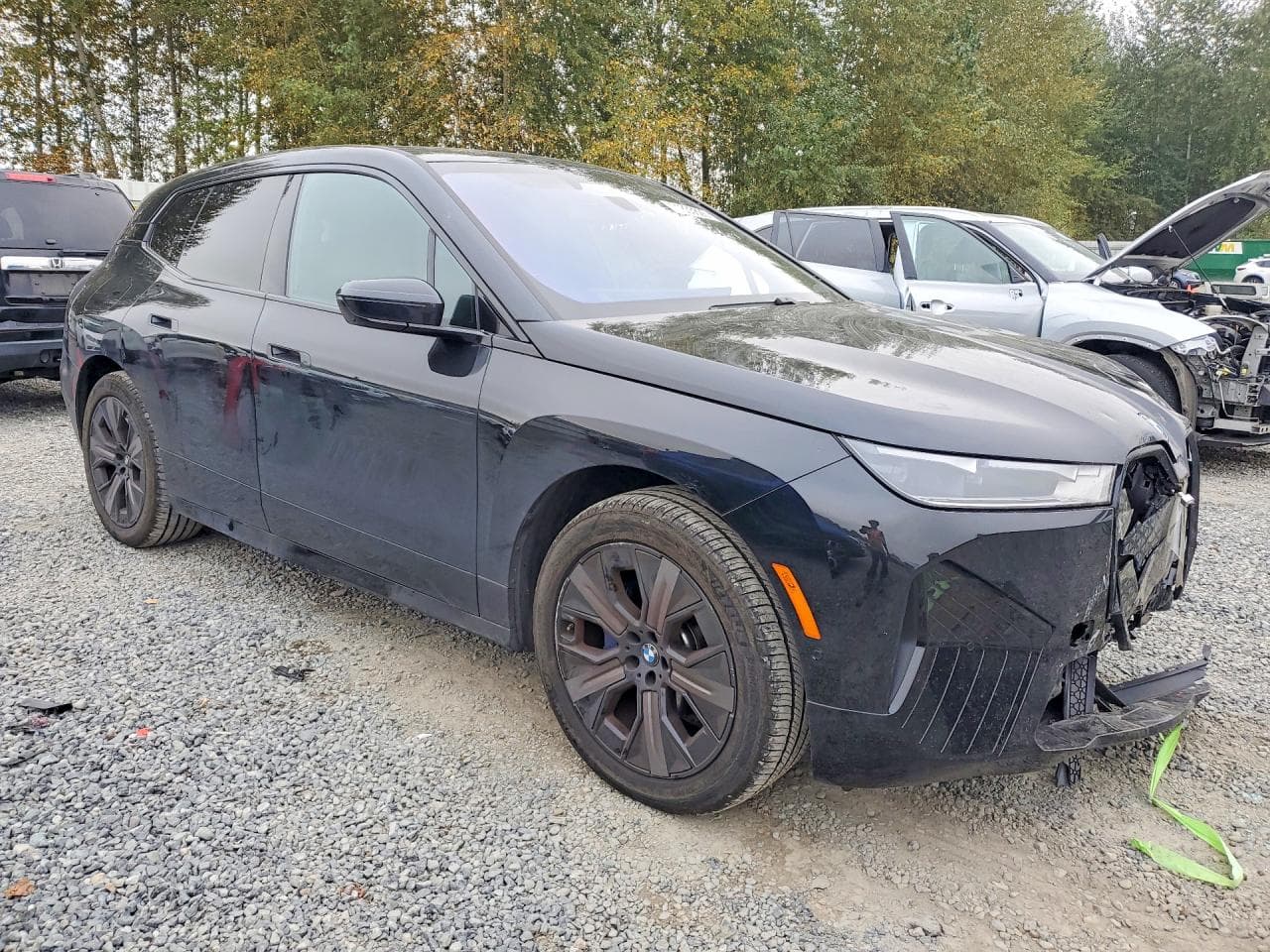 2025 BMW Ix xDrive50 - foto 4